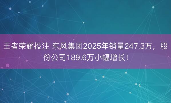 王者荣耀投注 东风集团2025年销量247.3万，股份公司189.6万小幅增长！