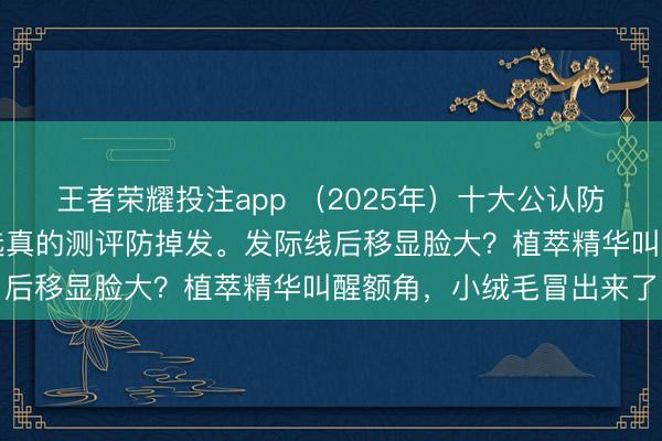 王者荣耀投注app （2025年）十大公认防掉发精华液，精华液推选真的测评防掉发。发际线后移显脸大？植萃精华叫醒额角，小绒毛冒出来了