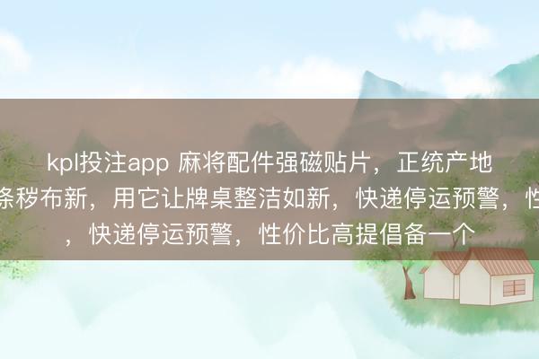 kpl投注app 麻将配件强磁贴片，正统产地直发！年前大扫除涤秽布新，用它让牌桌整洁如新，快递停运预警，性价比高提倡备一个