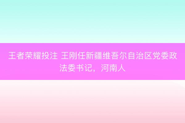 王者荣耀投注 王刚任新疆维吾尔自治区党委政法委书记，河南人