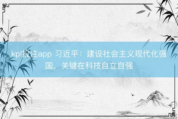 kpl投注app 习近平：建设社会主义现代化强国，关键在科技自立自强