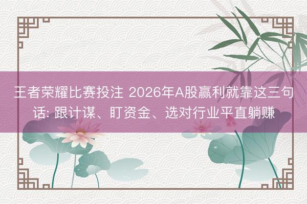 王者荣耀比赛投注 2026年A股赢利就靠这三句话: 跟计谋、盯资金、选对行业平直躺赚