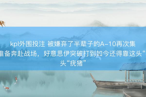 kpl外围投注 被嫌弃了半辈子的A-10再次集会,准备奔赴战场,好意思伊突破打到如今还得靠这头“疣猪”