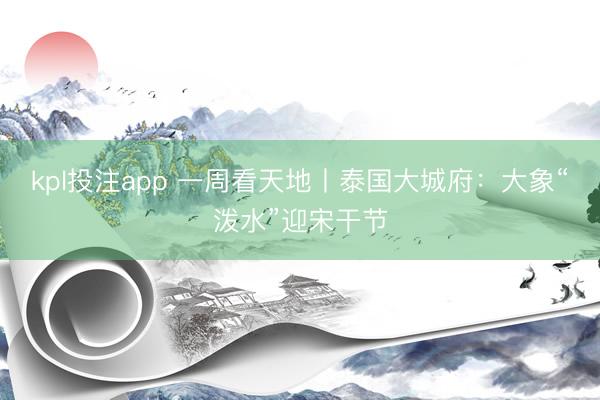 kpl投注app 一周看天地丨泰国大城府：大象“泼水”迎宋干节
