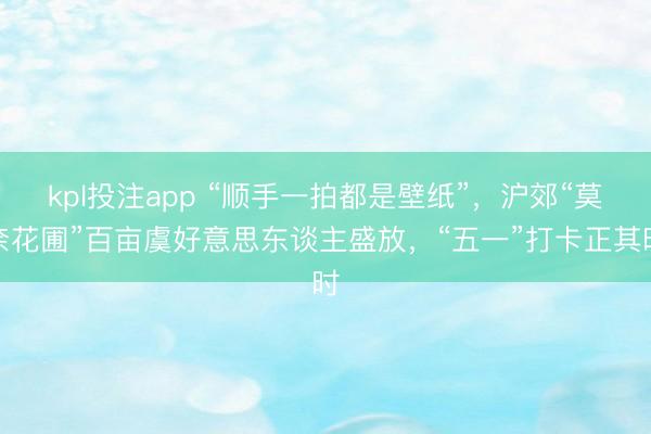 kpl投注app “顺手一拍都是壁纸”，沪郊“莫奈花圃”百亩虞好意思东谈主盛放，“五一”打卡正其时