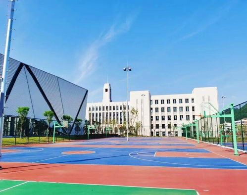 又一所双一流大学 宜宾大学城 新成员 今日精彩亮相