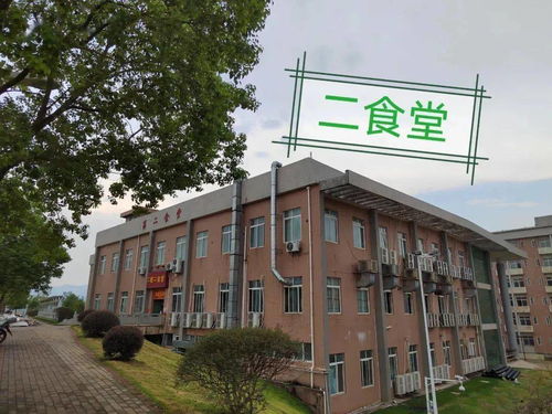 新生攻略