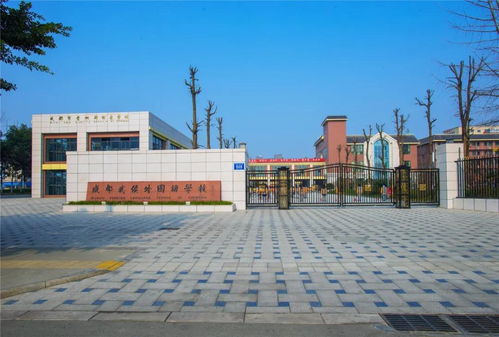 成都武侯外国语学校与戈多艺术学校的悄然崛起探秘