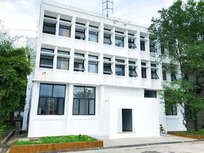 杭州与成都艺术集训双城记 老鹰画室与戈多艺术学校的特色探索