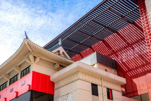 青年发展型城区建设 又一非遗生活美学场景,原来是它 成都戈多艺术学校