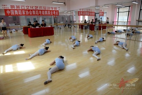 成都市龙泉驿区鹏英云文化艺术培训学校暑期舞蹈课程 拉丁舞与中国舞考级培训,携手成都戈多艺术学校