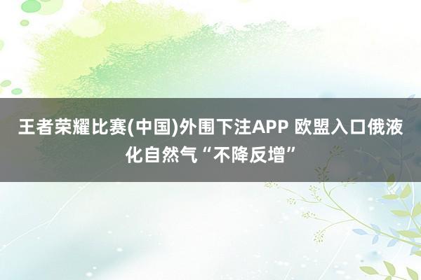王者荣耀比赛(中国)外围下注APP 欧盟入口俄液化自然气“不降反增”
