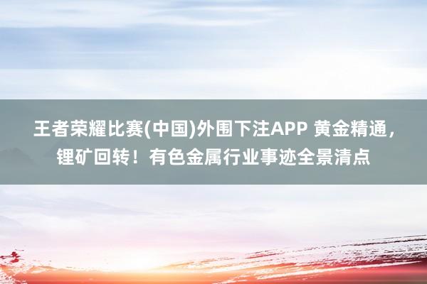 王者荣耀比赛(中国)外围下注APP 黄金精通,锂矿回转!有色金属行业事迹全景清点