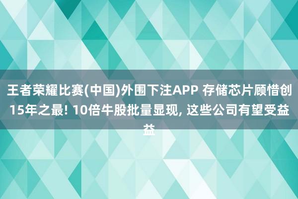 王者荣耀比赛(中国)外围下注APP 存储芯片顾惜创15年之最! 10倍牛股批量显现, 这些公司有望受益