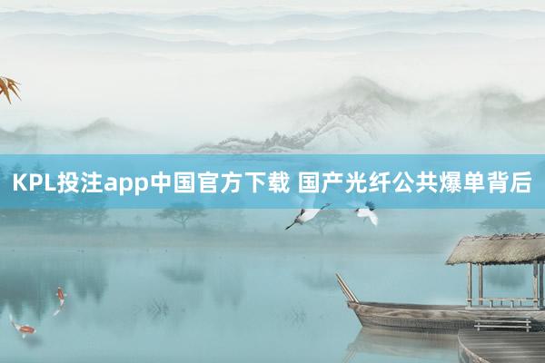 KPL投注app中国官方下载 国产光纤公共爆单背后