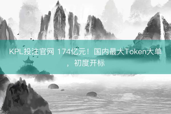 KPL投注官网 174亿元!国内最大Token大单,初度开标