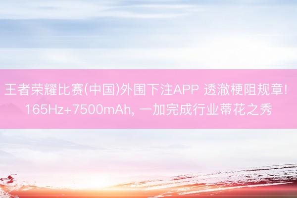 王者荣耀比赛(中国)外围下注APP 透澈梗阻规章! 165Hz+7500mAh, 一加完成行业蒂花之秀