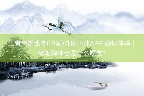 王者荣耀比赛(中国)外围下注APP 确切体验 | 被炮弹冲击是什么嗅觉?