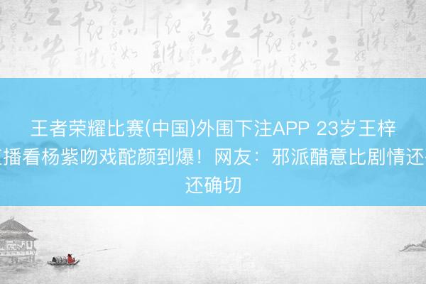 王者荣耀比赛(中国)外围下注APP 23岁王梓豪直播看杨紫吻戏酡颜到爆!网友:邪派醋意比剧情还确切