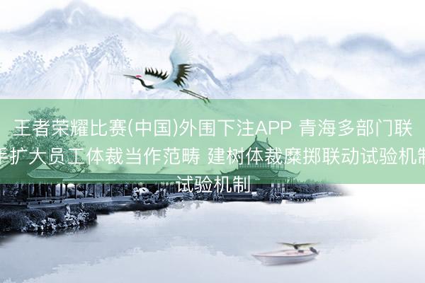 王者荣耀比赛(中国)外围下注APP 青海多部门联手扩大员工体裁当作范畴 建树体裁糜掷联动试验机制